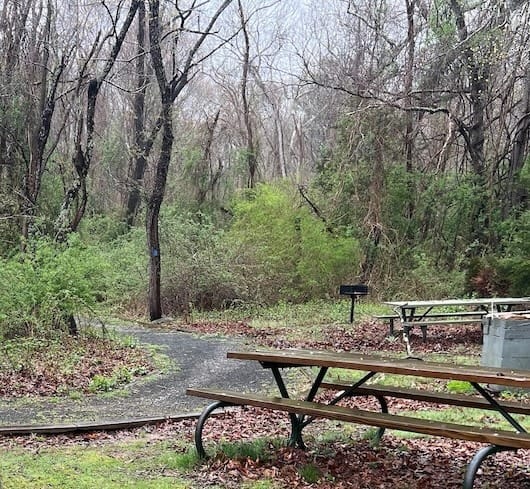 Controlling Invasive Species as Part of Routine Trail Maintenance, NY