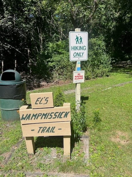 Controlling Invasive Species as Part of Routine Trail Maintenance, NY