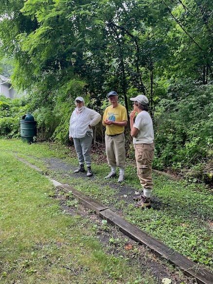 Controlling Invasive Species as Part of Routine Trail Maintenance, NY